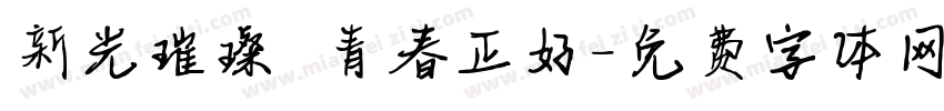 新光璀璨 青春正好字体转换